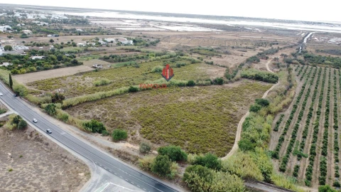 Terreno para Venda em Quelfes
