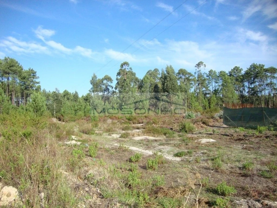 Terreno Agricola ou Rústico para Venda em Marinha Grande Foto 3