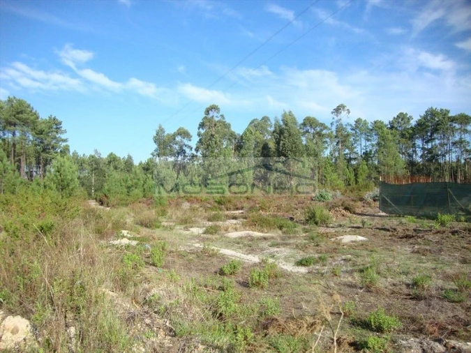 Terreno Agricola ou Rústico para Venda em Marinha Grande Foto 3