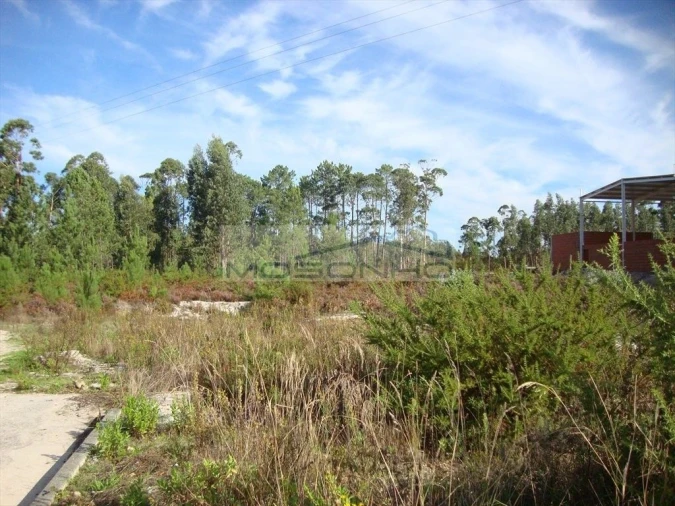 Terreno Agricola ou Rústico para Venda em Marinha Grande Foto 4
