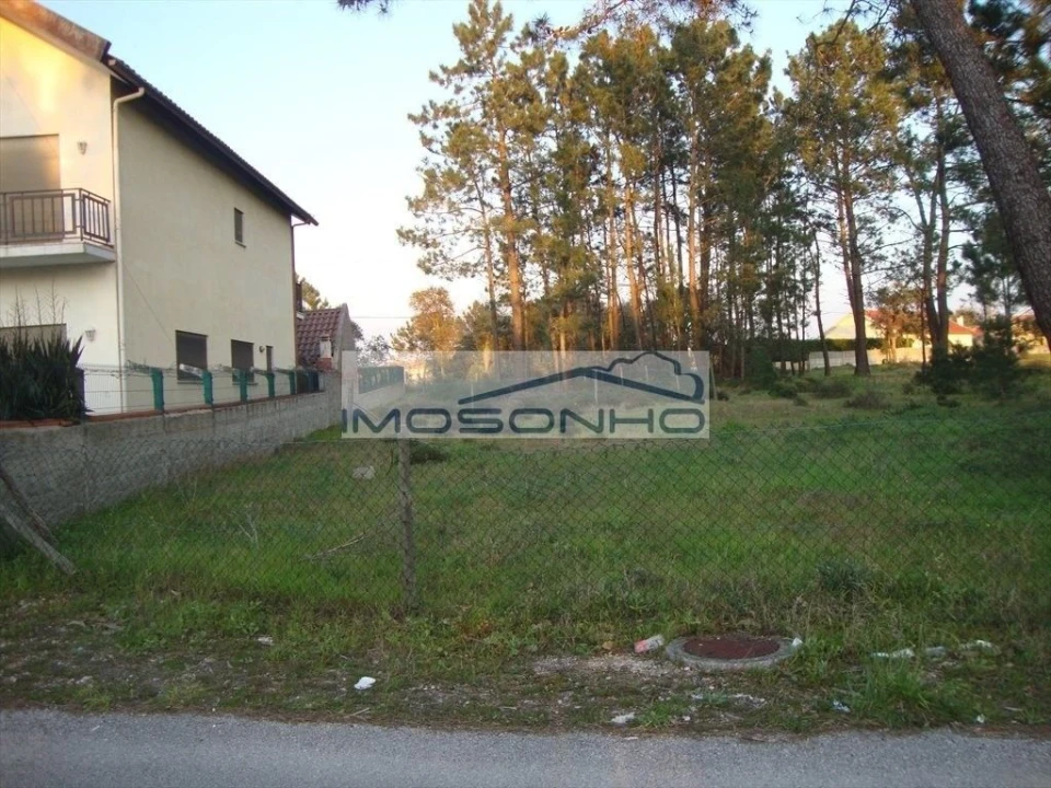 Terreno Agricola ou Rústico para Venda em Marinha Grande Foto 2