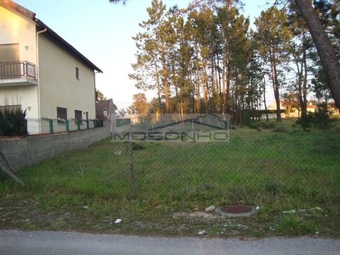Terreno Agricola ou Rústico para Venda em Marinha Grande Foto 3