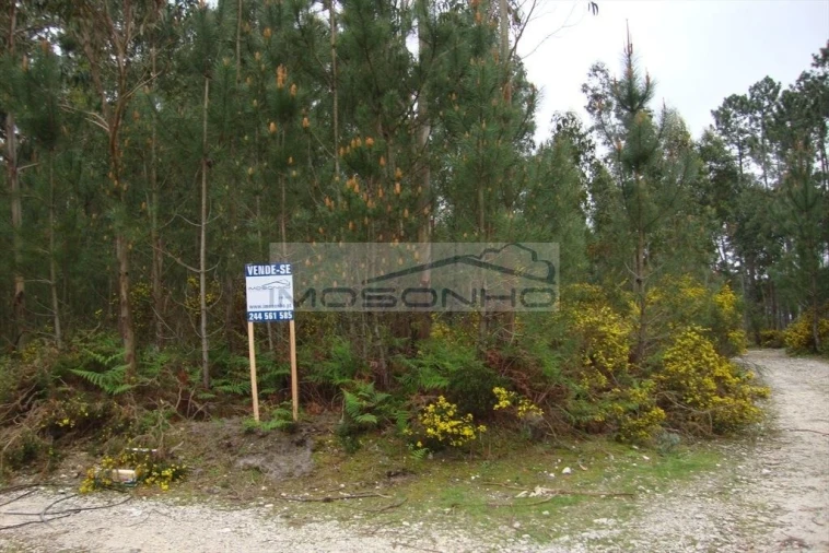 Terreno Agricola ou Rústico para Venda em Marinha Grande Foto 1