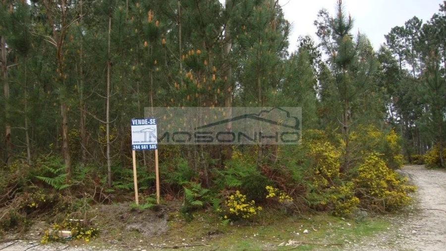 Terreno Agricola ou Rústico para Venda em Marinha Grande