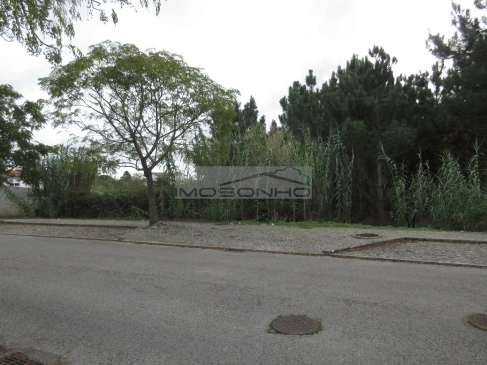 Terreno Agricola ou Rústico para Venda em Marinha Grande Foto 1