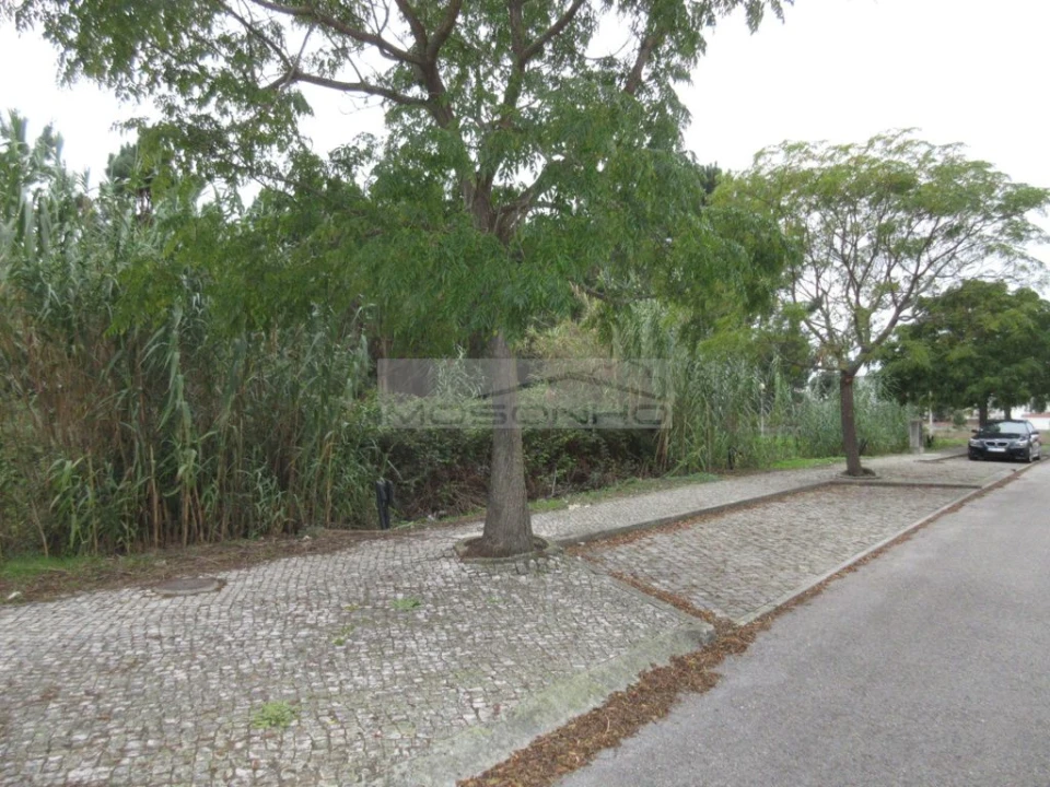 Terreno Agricola ou Rústico para Venda em Marinha Grande Foto 2