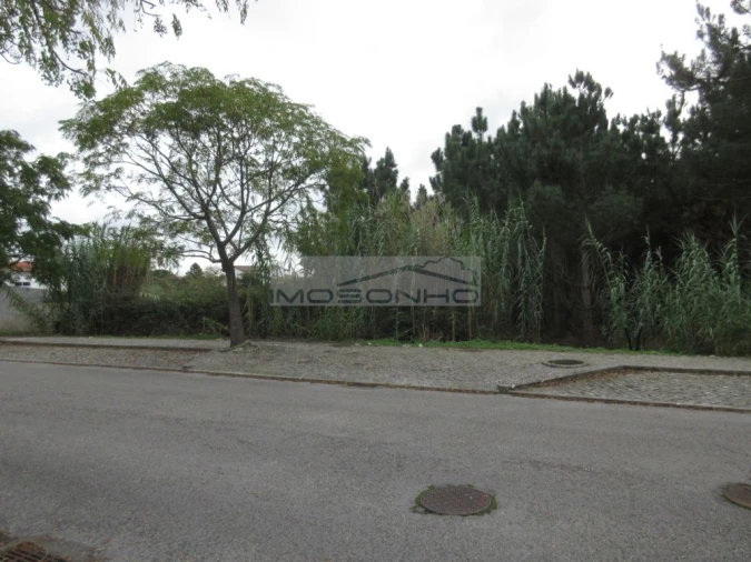 Terreno Agricola ou Rústico para Venda em Marinha Grande Foto 1