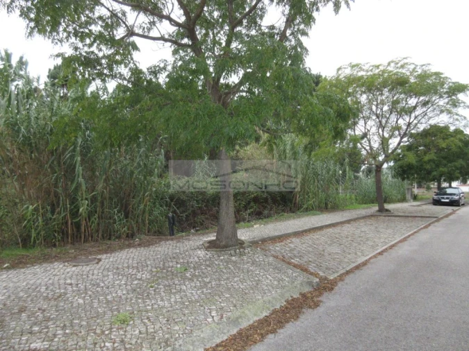 Terreno Agricola ou Rústico para Venda em Marinha Grande Foto 2