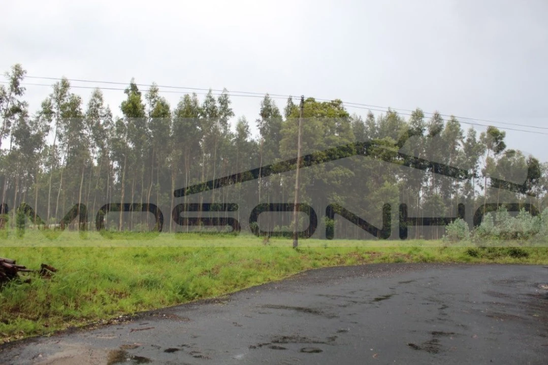Terreno Agricola ou Rústico para Venda em Marinha Grande Foto 2