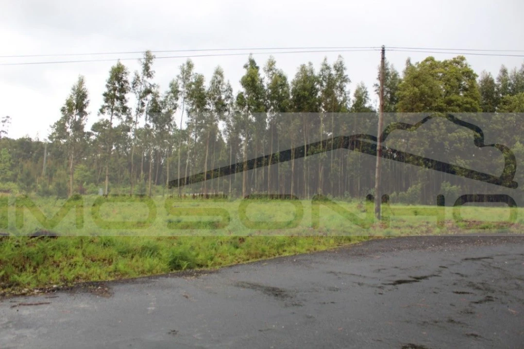 Terreno Agricola ou Rústico para Venda em Marinha Grande Foto 3