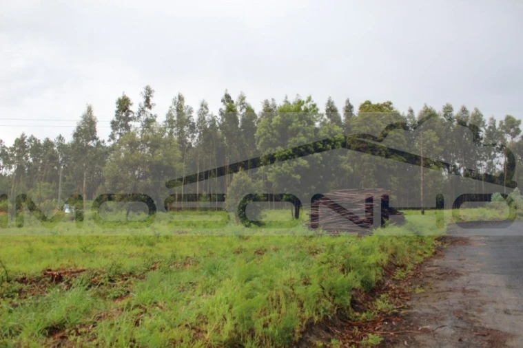 Terreno Agricola ou Rústico para Venda em Marinha Grande