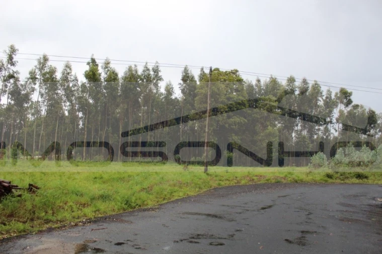 Terreno Agricola ou Rústico para Venda em Marinha Grande Foto 2