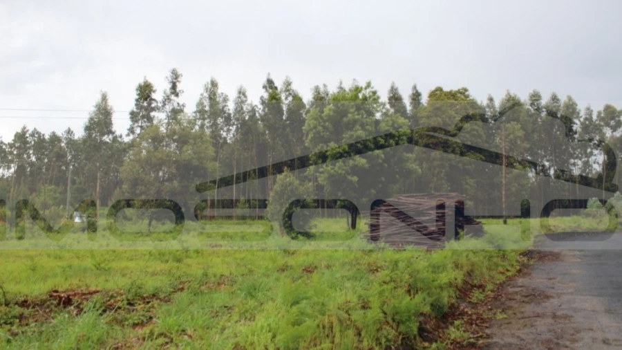 Terreno Agricola ou Rústico para Venda em Marinha Grande
