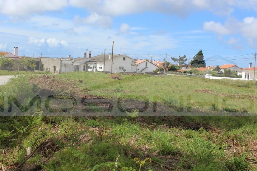 Terreno Agricola ou Rústico para Venda em Marinha Grande Foto 1