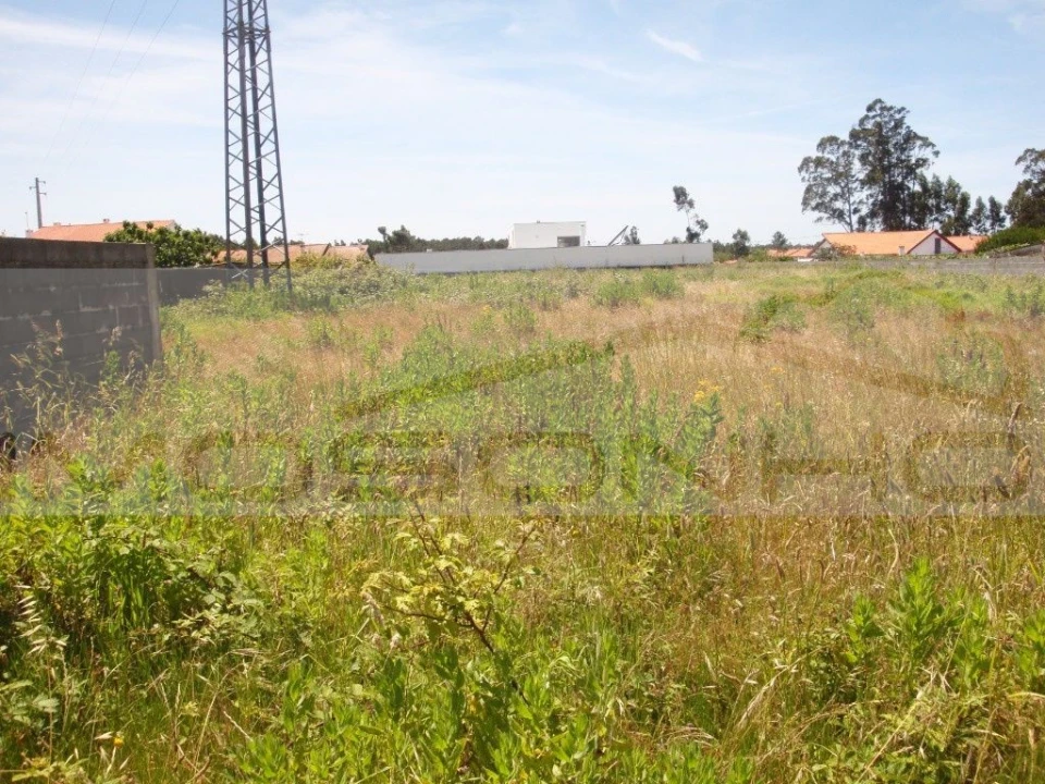 Terreno Agricola ou Rústico para Venda em Marinha Grande Foto 3