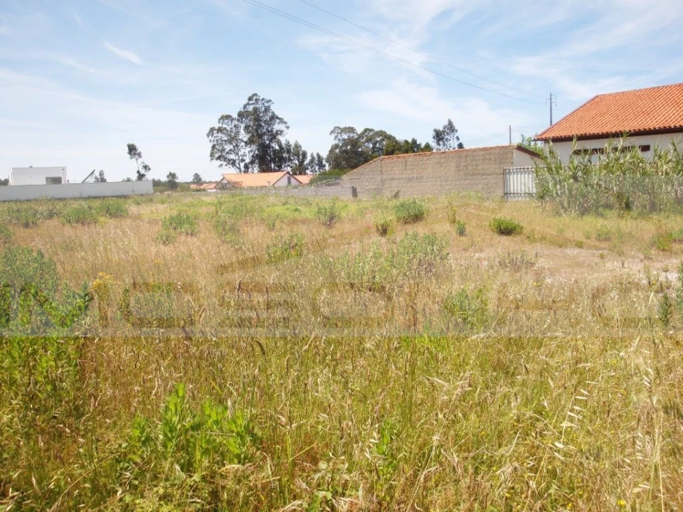 Terreno Agricola ou Rústico para Venda em Marinha Grande Foto 4
