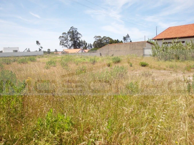 Terreno Agricola ou Rústico para Venda em Marinha Grande Foto 4