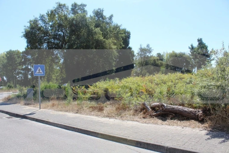 Terreno Agricola ou Rústico para Venda em Marinha Grande