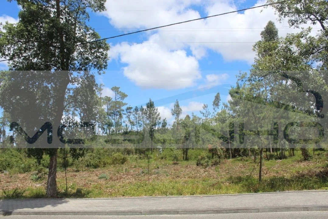 Terreno Agricola ou Rústico para Venda em Marinha Grande Foto 3