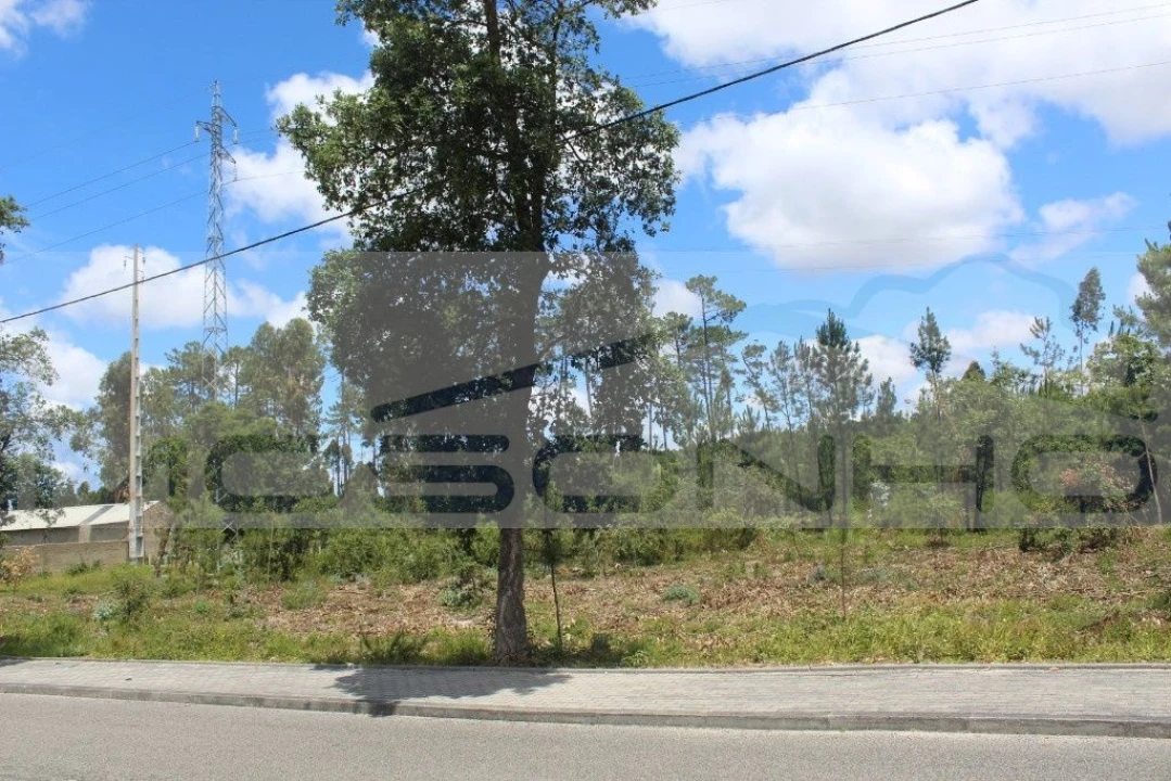 Terreno Agricola ou Rústico para Venda em Marinha Grande Foto 4