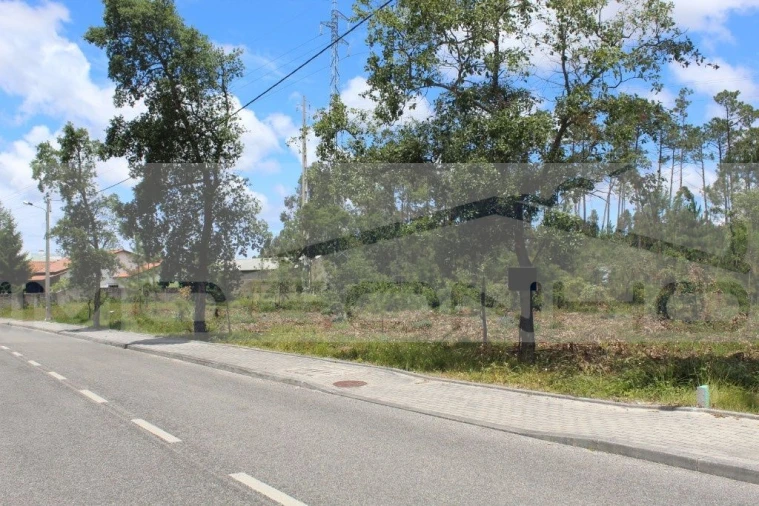 Terreno Agricola ou Rústico para Venda em Marinha Grande Foto 1