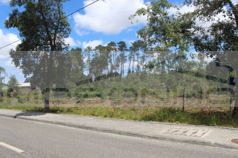 Terreno Agricola ou Rústico para Venda em Marinha Grande Foto 2