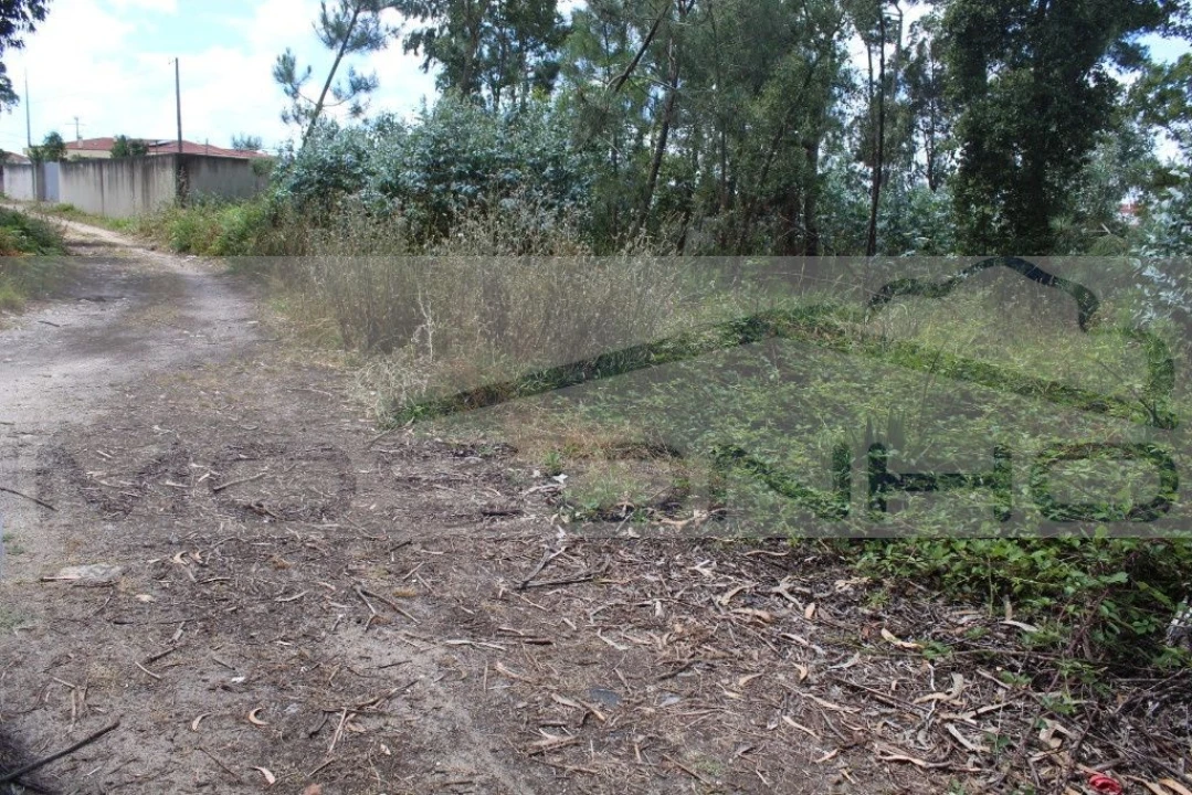 Terreno Agricola ou Rústico para Venda em Marinha Grande Foto 8