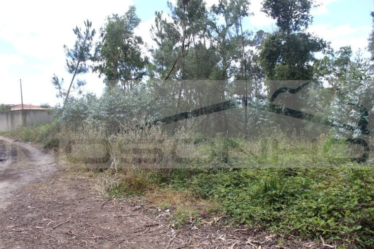 Terreno Agricola ou Rústico para Venda em Marinha Grande Foto 7