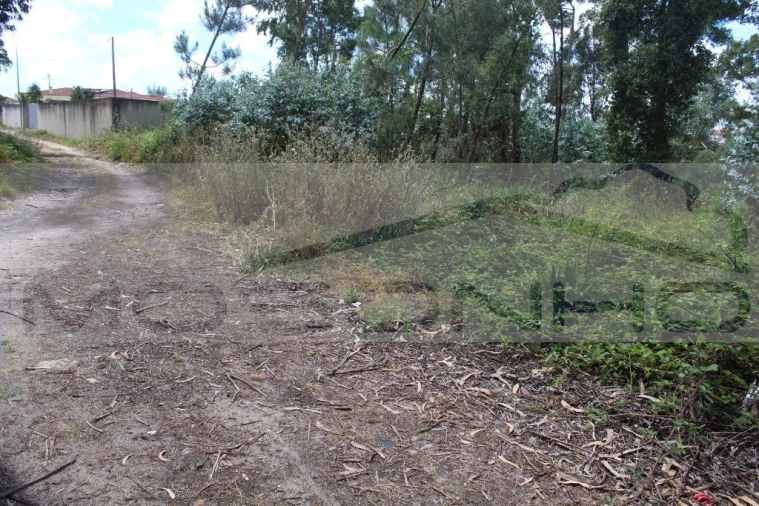 Terreno Agricola ou Rústico para Venda em Marinha Grande Foto 8