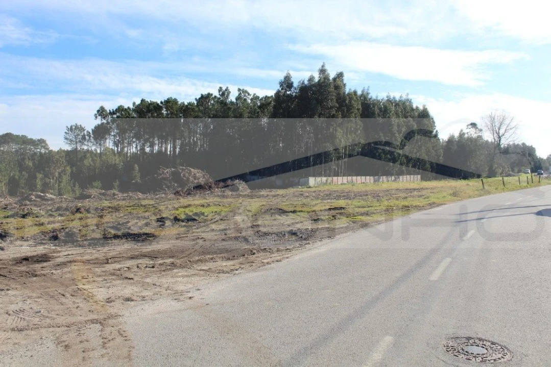 Terreno Agricola ou Rústico para Venda em Leiria, Pousos, Barreira e Cortes Foto 1