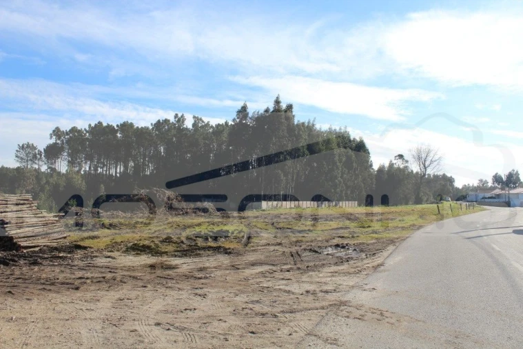 Terreno Agricola ou Rústico para Venda em Leiria, Pousos, Barreira e Cortes Foto 3
