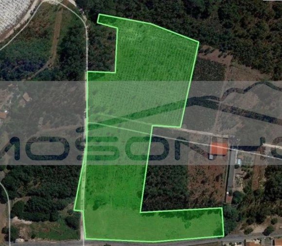 Terreno Agricola ou Rústico para Venda em Leiria, Pousos, Barreira e Cortes Foto 4