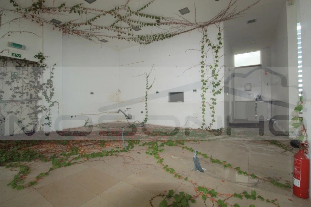 Negócio para Venda em Golpilheira Foto 50