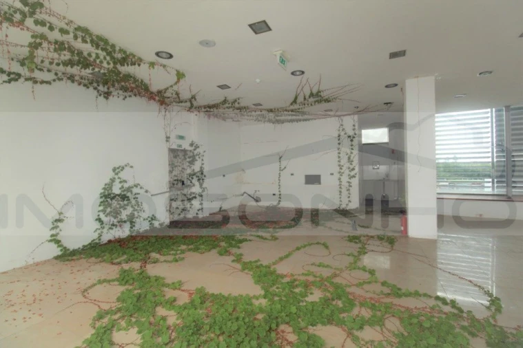 Negócio para Venda em Golpilheira Foto 49