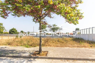 Terreno para Venda em Marinha Grande