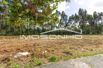 Terreno para Venda em Marinha Grande