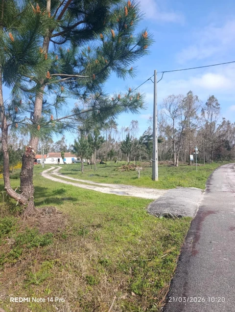 Terreno para Venda em Marinha Grande