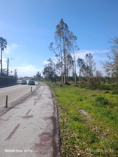 Terreno para Venda em Marinha Grande
