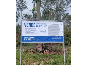 Terreno para Venda em Marinha Grande