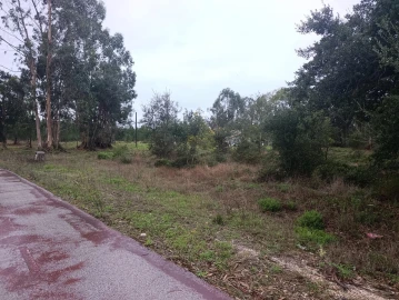 Terreno para Venda em Marinha Grande