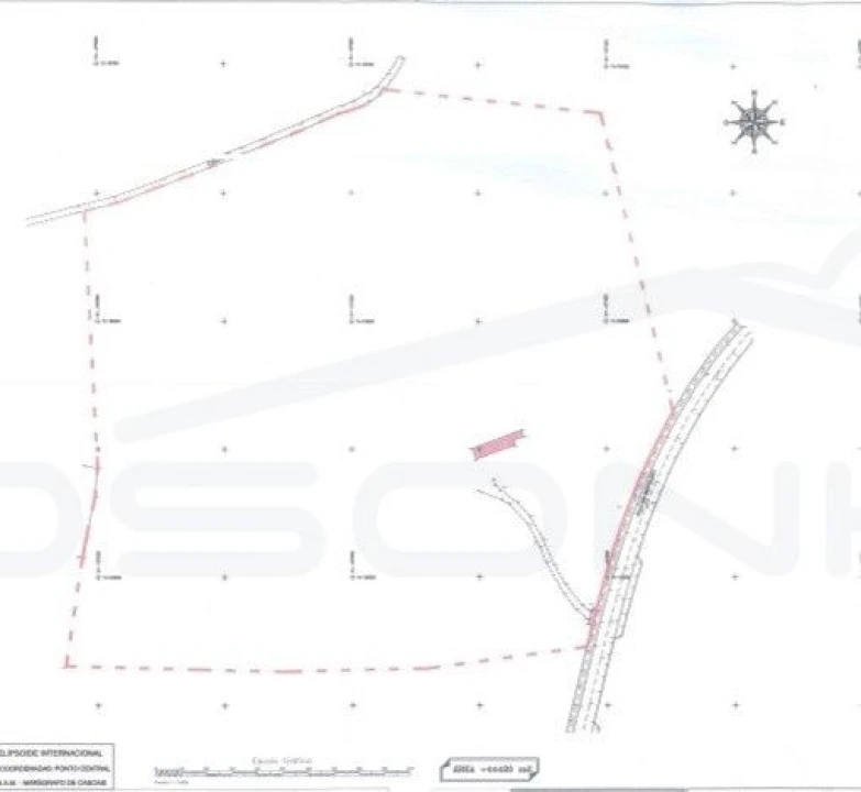 Terreno Agricola ou Rústico para Venda em Marinha Grande Foto 10