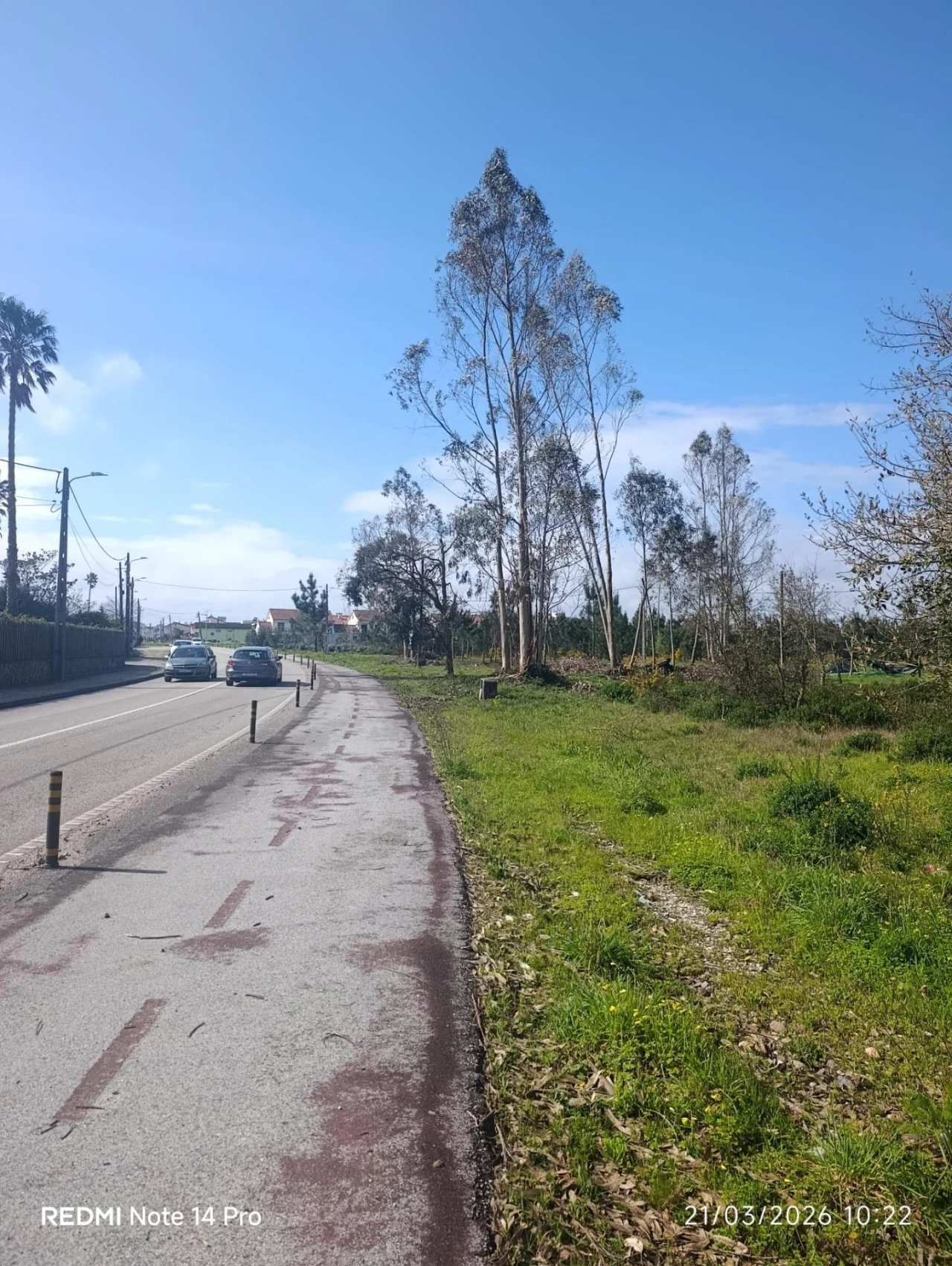 Terreno Agricola ou Rústico para Venda em Marinha Grande Foto 17