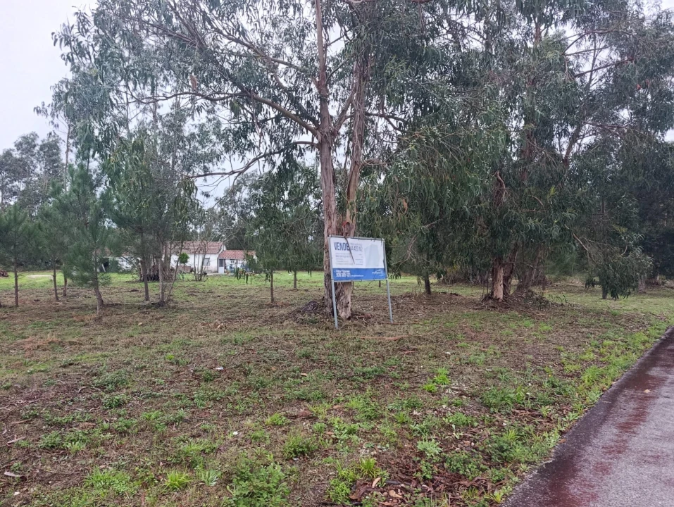 Terreno para Venda em Marinha Grande Foto 1