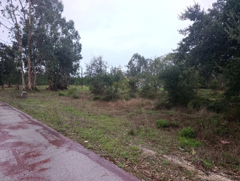 Terreno para Venda em Marinha Grande Foto 8