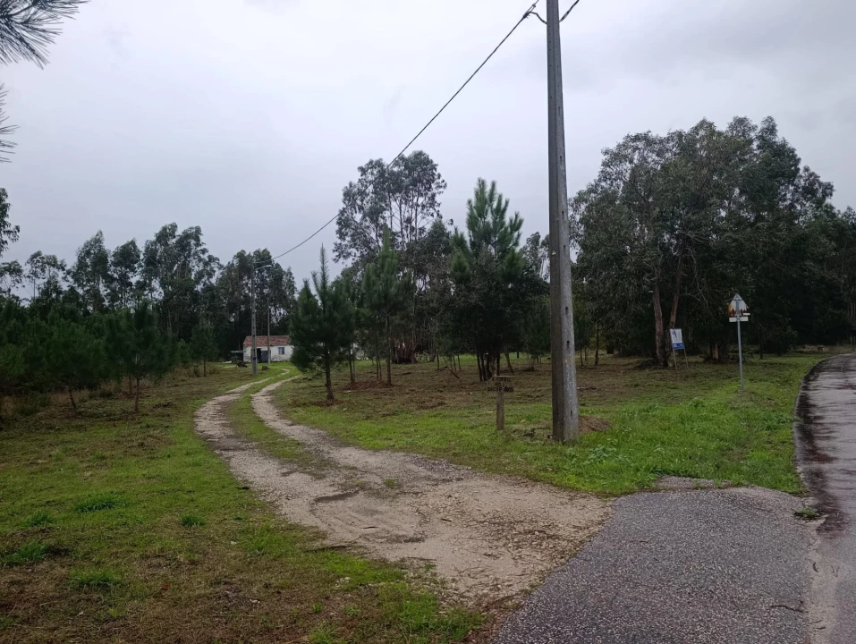 Terreno para Venda em Marinha Grande Foto 9