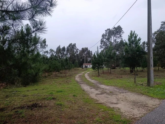 Terreno Agricola ou Rústico para Venda em Marinha Grande Foto 13