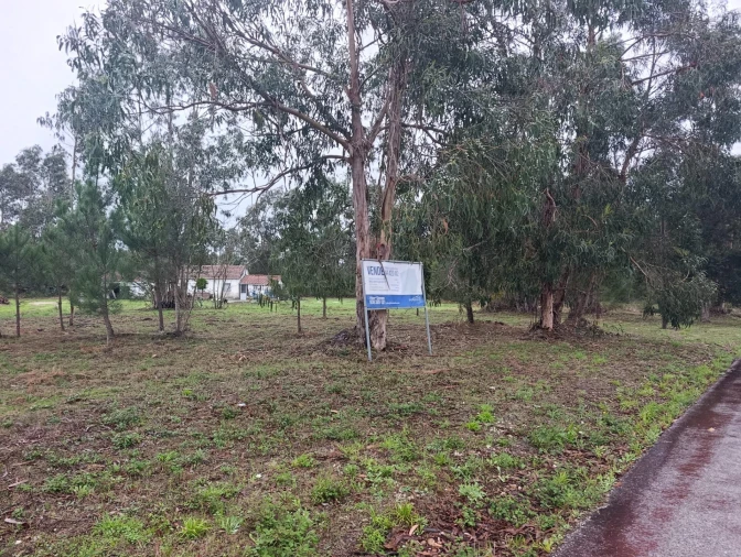 Terreno Agricola ou Rústico para Venda em Marinha Grande Foto 3