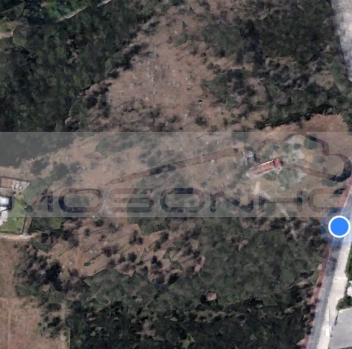 Terreno Agricola ou Rústico para Venda em Marinha Grande Foto 13