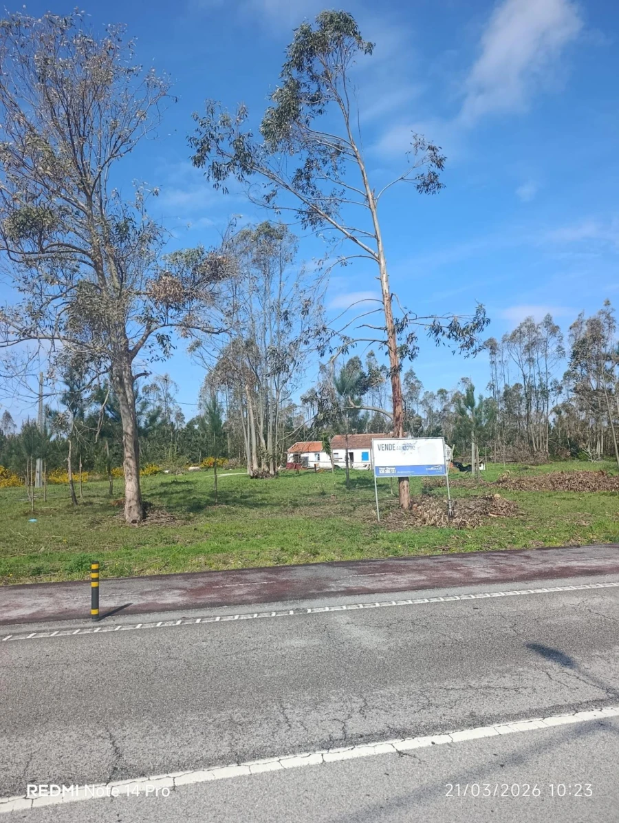 Terreno Agricola ou Rústico para Venda em Marinha Grande Foto 15