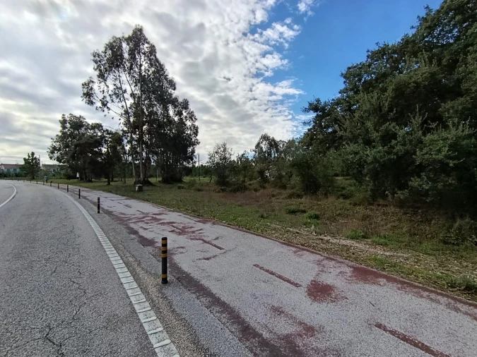 Terreno Agricola ou Rústico para Venda em Marinha Grande Foto 6